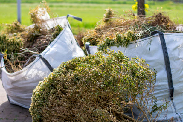 Best Residential Junk Removal  in Belle Plaine, IA